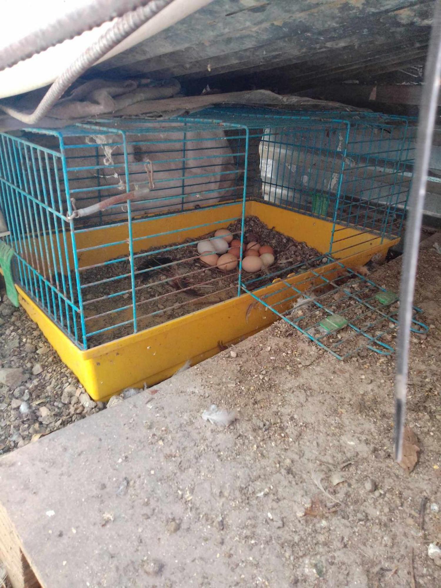 Το Μικρό Σπίτι στη Φάρμα! Διαμέρισμα Αχαρναί Εξωτερικό φωτογραφία